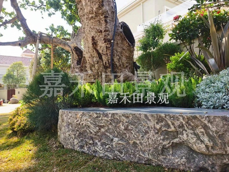 樹木在園林景觀設(shè)計中有哪些作用？