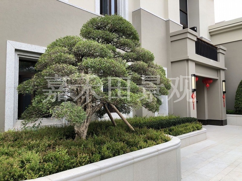 如何選擇專業(yè)的景觀設(shè)計(jì)師或施工隊(duì)伍？